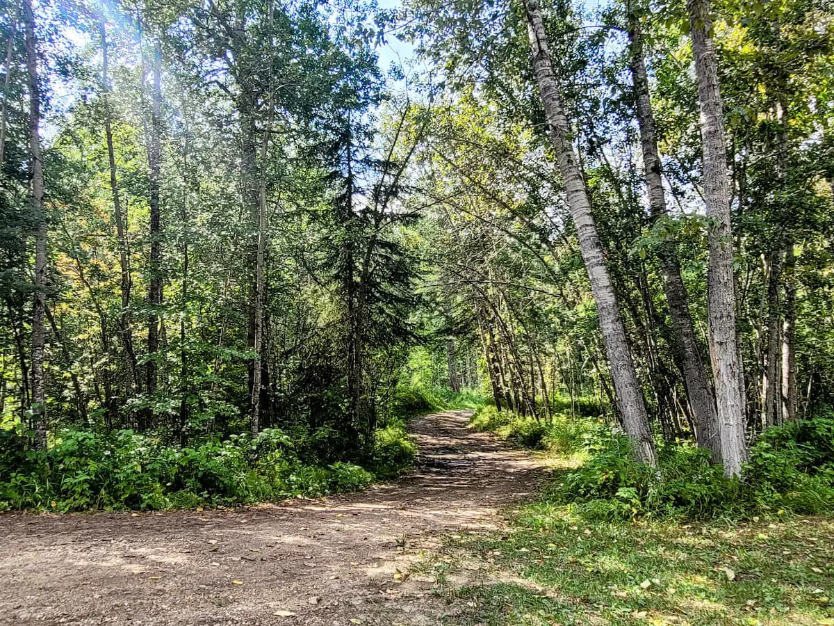 80 Acres of Nature